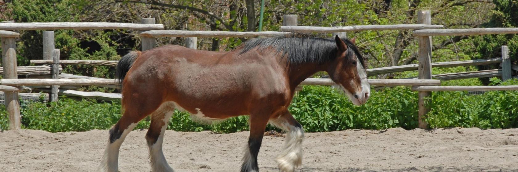 Riverdale Farm